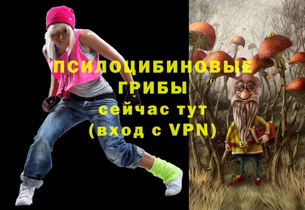 прущий лед Арсеньев