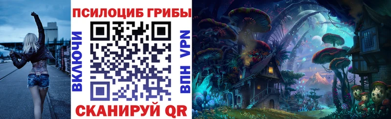 Купить Алзамай Псилоцибиновые грибы Psilocybine cubensis